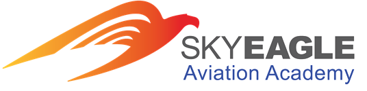 SkyEagle Aviation Academy